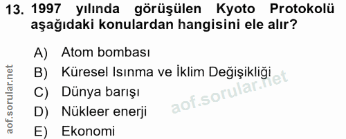 Soru 13