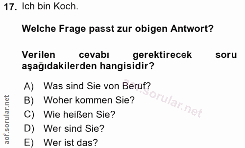 Soru 17