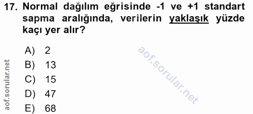 Soru 17