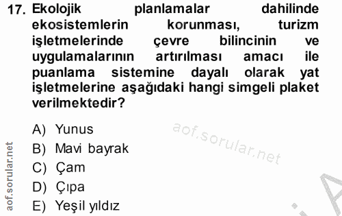 Soru 17