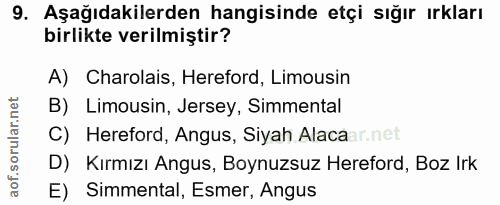 Soru 9