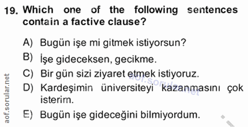 Soru 19