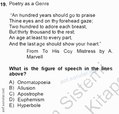 Soru 19