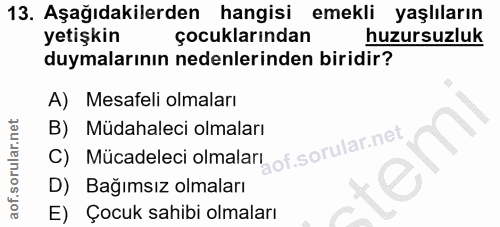 Soru 13