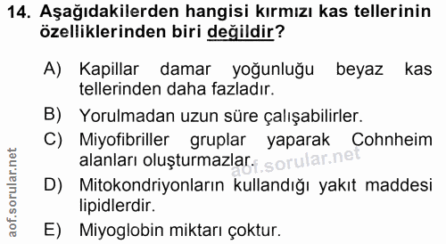 Soru 14