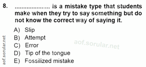Soru 8