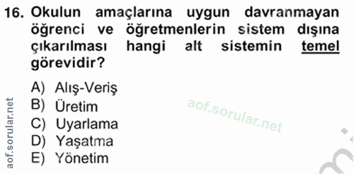 Soru 16