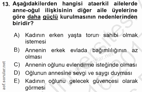 Soru 13