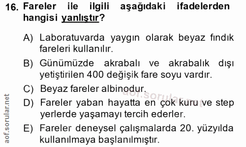 Soru 16