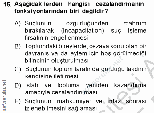 Soru 15