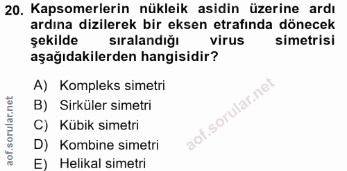 Soru 20