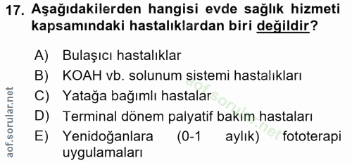 Soru 17