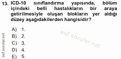 Soru 13
