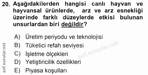 Soru 20