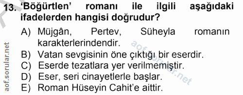 Soru 13