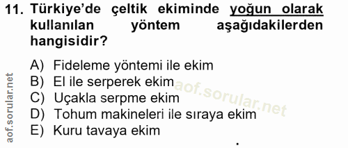 Soru 11