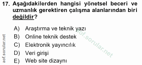 Soru 17