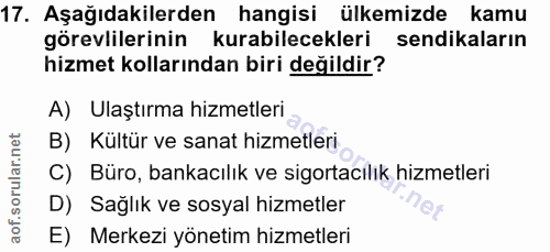 Soru 17