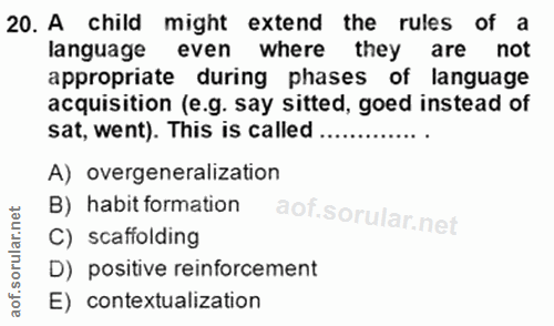 Soru 20