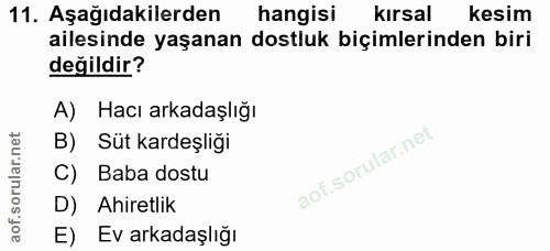 Soru 11