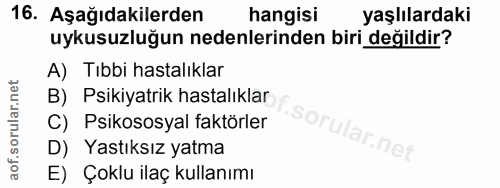Soru 16