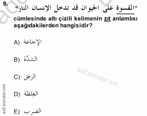 Soru 9