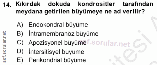 Soru 14