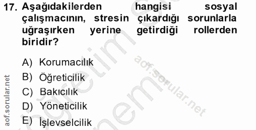 Soru 17