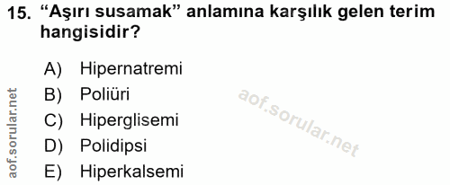 Soru 15