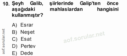 Soru 10