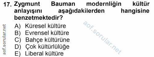 Soru 17
