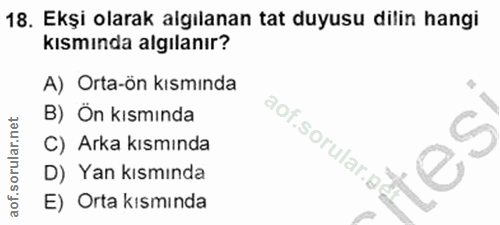 Soru 18