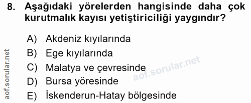 Soru 8