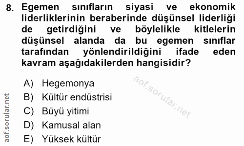 Soru 8