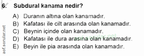Soru 6