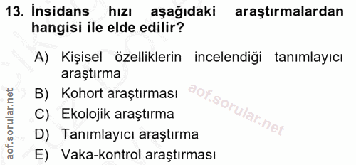 Soru 13