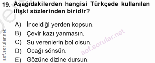 Soru 19