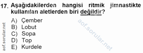 Soru 17