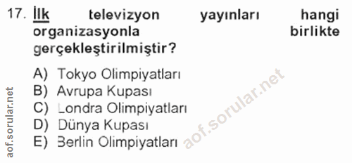 Soru 17