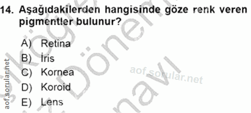 Soru 14