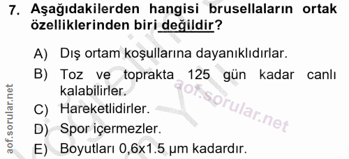 Soru 7