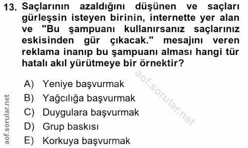 Soru 13
