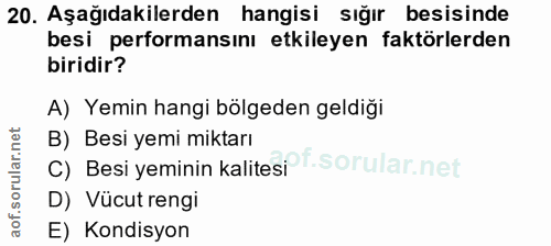 Soru 20