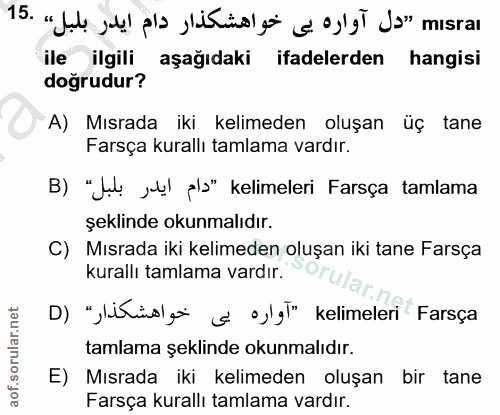 Soru 15