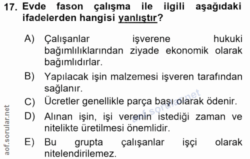 Soru 17