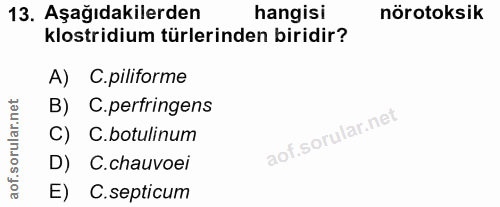 Soru 13