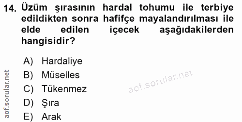 Soru 14