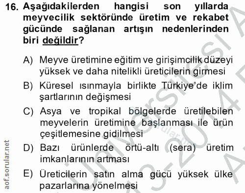 Soru 16