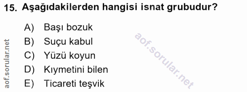 Soru 15