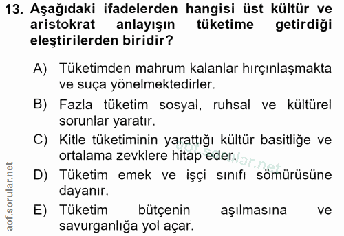 Soru 13